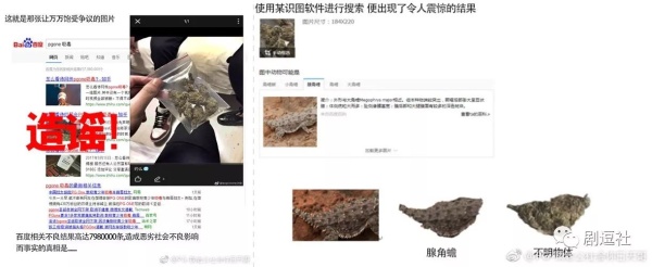 PGone又教給我們一個新詞：虐粉。