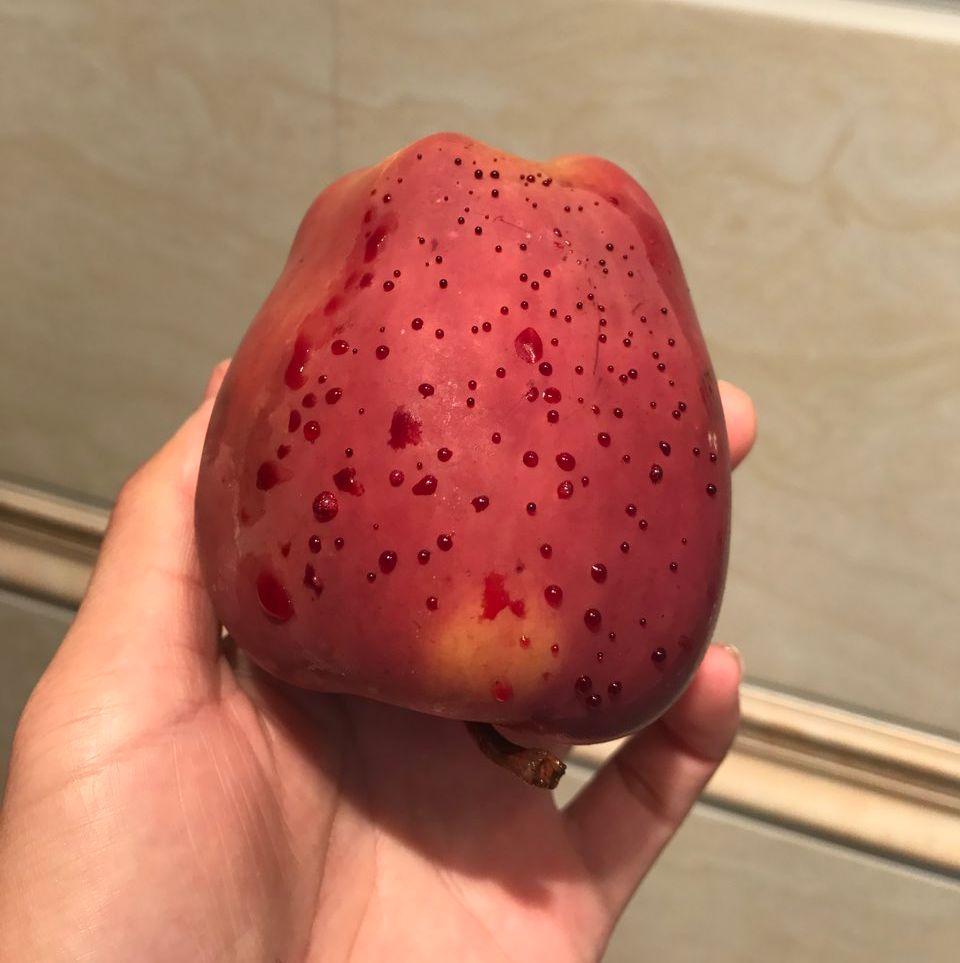 嚇懵！女子用熱水泡蘋果結(jié)果冒出血珠 咋回事？