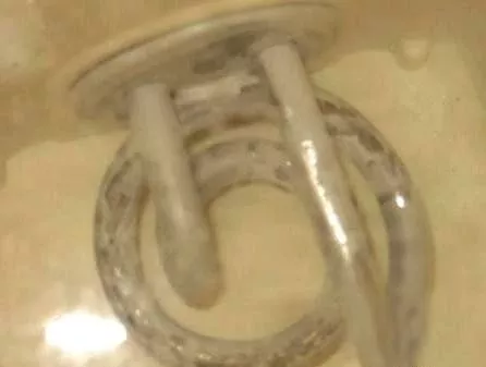 太惡心！女游客竟用酒店燒水壺煮自己的臟內(nèi)褲
