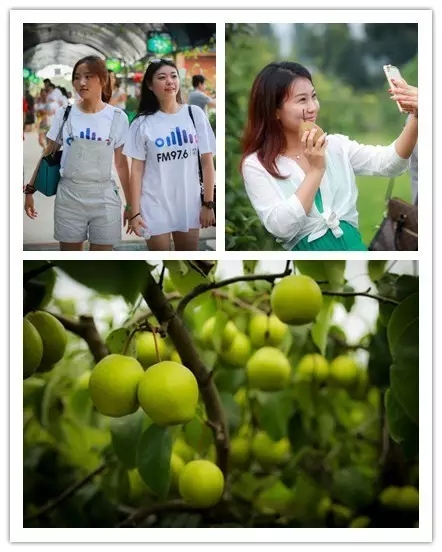 美女與香梨，你更愛(ài)哪一個(gè)？！