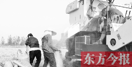 李正厚的妻子鮑本華（右）和一位村民拎著麻袋來到收割機(jī)前，接住傾倒出來的麥粒