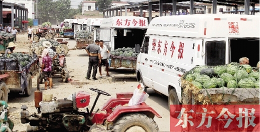 昨日，東方今報與河南福壽園聯(lián)合購瓜，只有更多的市民和企業(yè)加入購瓜行動，瓜農(nóng)們才能早日回家