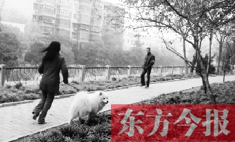 12月3日，鄭州市南關(guān)街熊兒河旁，一名遛狗的女子見到執(zhí)法人員檢查，迅速跑開