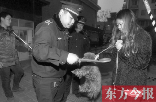 12月3日早上6點半，鄭州市南關(guān)街熊兒河旁，南關(guān)街辦事處的執(zhí)法人員對狗進行排查