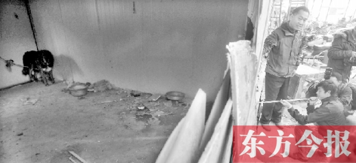 12月4日，鄭州市未來(lái)路與隴海路交叉口西側(cè)，執(zhí)法人員用吹管麻醉針對(duì)付一只藏獒