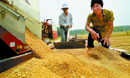 6月3日， 濮陽開發(fā)區(qū)胡村鄉(xiāng)后范莊村的續(xù)秀萍看著新打的粒大飽滿的小麥喜上眉梢。