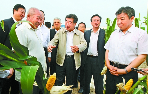 圖為回良玉在鄧州市腰店鄉(xiāng)草寺村視察萬畝玉米高產示范方。