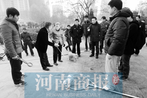 一只辦過狗證的小白狗，因?yàn)闆]有拴犬鏈，被執(zhí)法人員暫扣