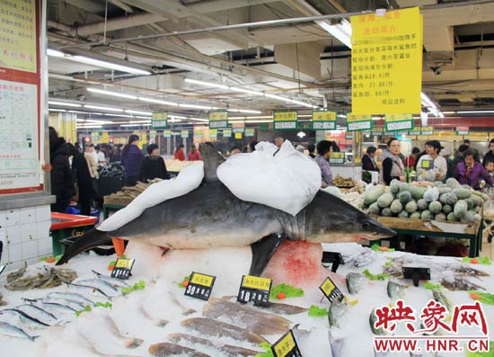 鄭州市一家超市海鮮區(qū)的冰架上赫然擺著一整條鯊魚在出售，鯊魚肉價(jià)格為23.80元每斤，遠(yuǎn)低于牛羊肉的價(jià)