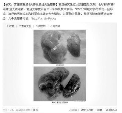 昨天，一則“霧霾使鮮肺6天變黑肺”的新聞在網(wǎng)上引發(fā)熱議。網(wǎng)絡(luò)截圖
