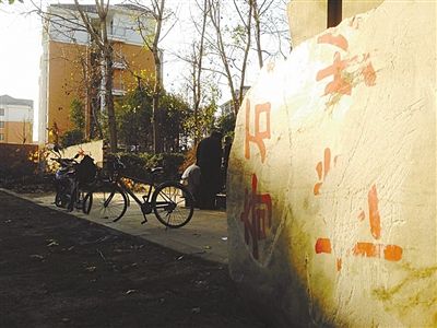 昨日，“上海奇石盆景博物館”原址上，已矗立起小區(qū)樓盤，而刻著博物館名的巨石，廢棄在一旁。本版圖片/新京報記者 張永生 攝
