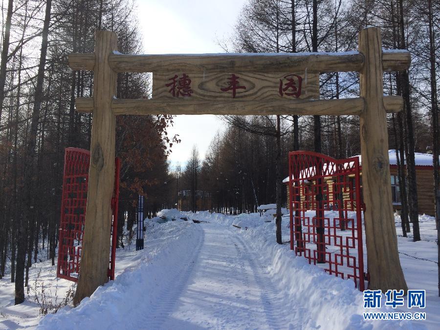 北山一隅的穗豐園（2013年12月8日攝）。新華社記者程子龍攝