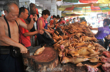 玉林狗肉節(jié)。