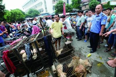 今天是廣西玉林狗肉節(jié)，市場上的攤販增加了數(shù)倍，城管也出動對市場上的占道行為進行規(guī)范 記者 劉暢 攝