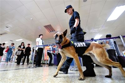 地鐵王府井站搜汽油警犬在安檢口巡邏。新京報記者 王貴彬 攝