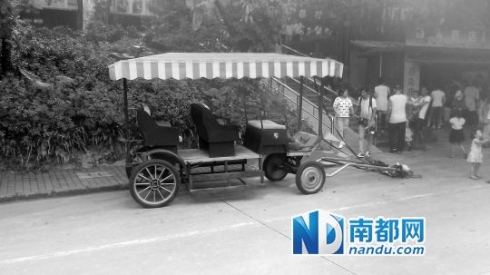 園方則稱(chēng)解剖后發(fā)現(xiàn)馬死于心臟衰竭，“與累無(wú)關(guān)”。