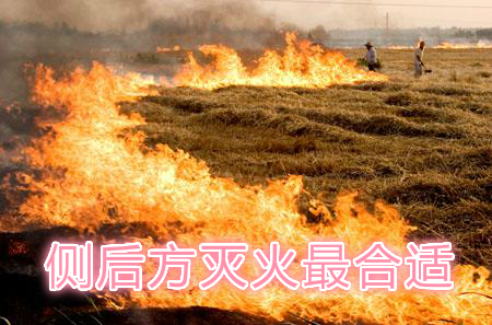 不要在風(fēng)頭上打火：風(fēng)正大，火正旺，最容易傷人；
