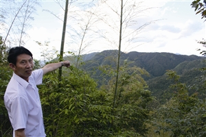 村民吳學(xué)田告訴記者，對面兩座山就是潘建友承包的部分山場 見習(xí)記者 邱一文 攝