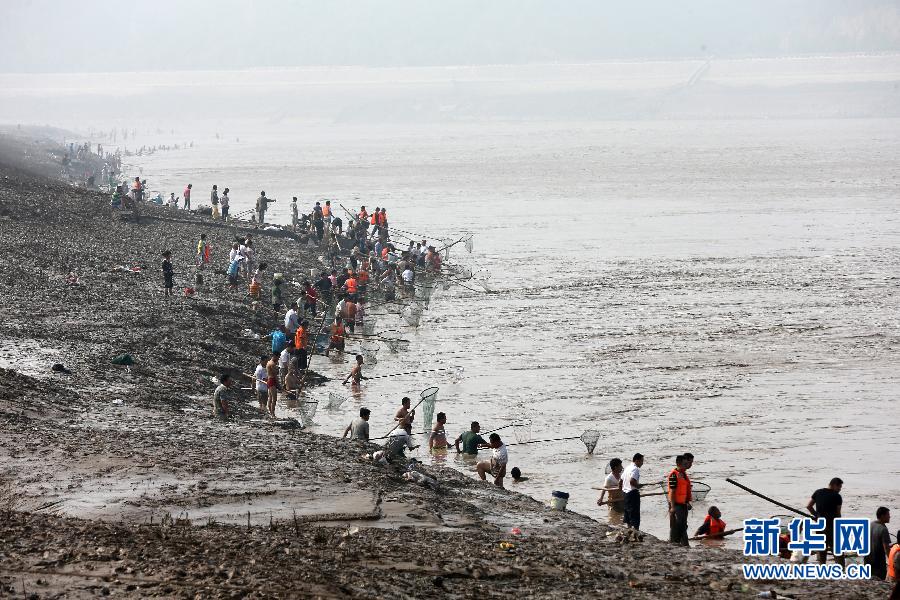 7月6日,在山西省平陸縣黃河岸邊,人們?cè)诤舆叢稉泣S河“流魚”。
