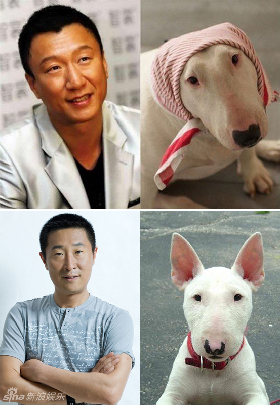 不小心就撞臉了！盤點動物界的明星相
