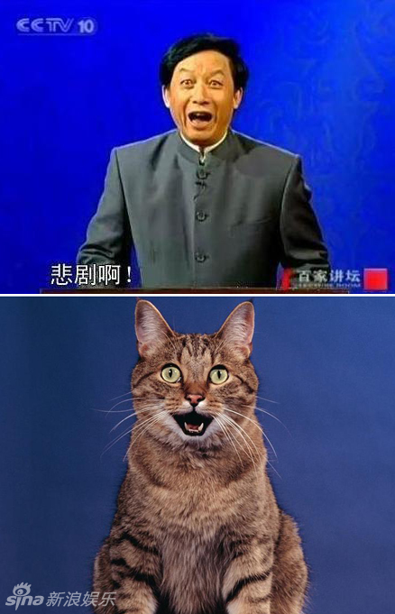 不小心就撞臉了！盤點動物界的明星相