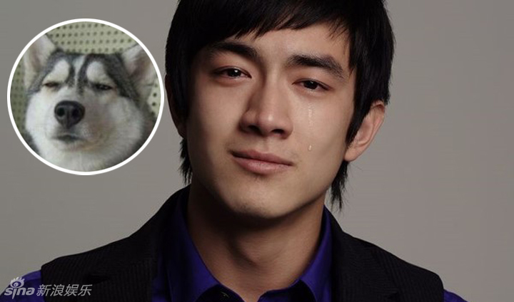 不小心就撞臉了！盤點動物界的明星相