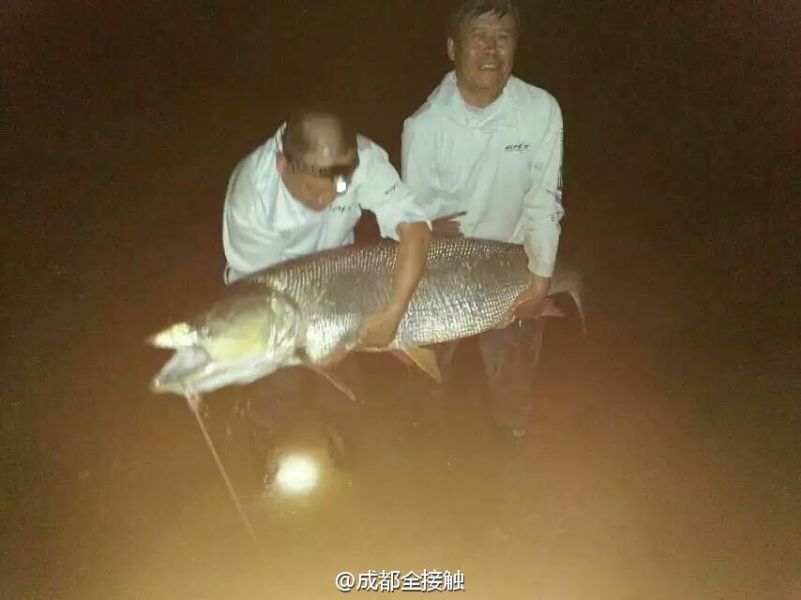 圖為大魚需要兩個人抱起。