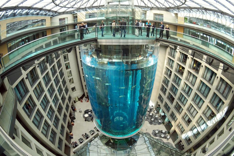 在圓柱水族館主體下方，還有一些別的展館。