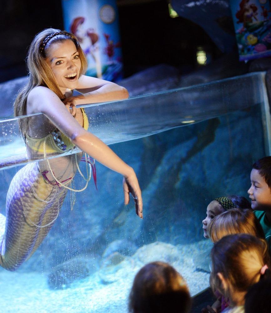 德國女演員安妮·門登在水族館里客串了一把“美人魚”，順便為她的電影《小美人魚》做宣傳。