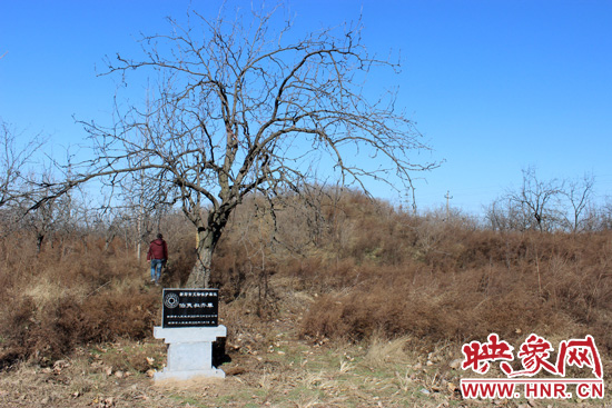 在叔齊墓的前面，豎著新鄭市人民政府今年剛立的石碑，上面寫著“新鄭市文物保護單位”。