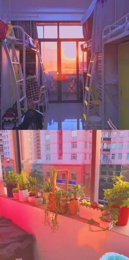 這個(gè)學(xué)校的男生宿舍火了！女同學(xué)都喊著要嫁