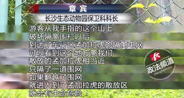 2女1男為逃票翻墻進(jìn)動物園 落地時周圍站了7只虎