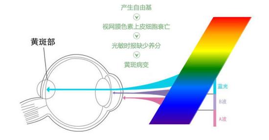 真能亮瞎眼？如何減少手機對眼睛的傷害