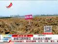 新修馬路種黃豆  如此做法為哪般？