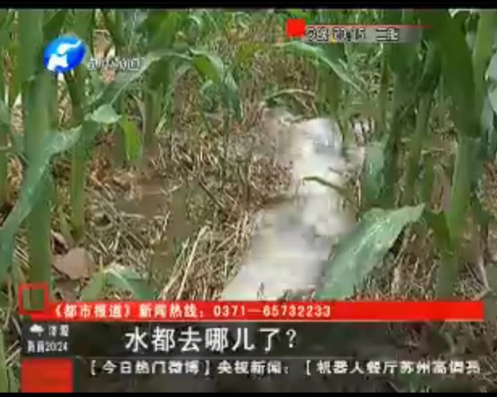 水都去哪了？