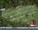 “垃圾場”拍婚紗：玩噱頭還是做環(huán)保？