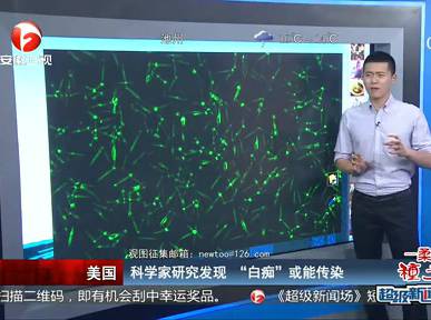 科學家研究發(fā)現(xiàn)“白癡”或能傳染
