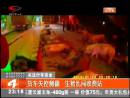 貨車(chē)失控側(cè)翻 生豬亂闖收費(fèi)站