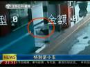 高速邊苦等十三天 主人你在哪里？