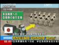 安倍出“新招”加快解禁集體自衛(wèi)權