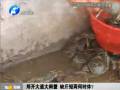 鄭開大道大閘蟹 缺斤短兩何時休？