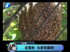 這看的 頭皮發(fā)麻呀！-打漁曬網(wǎng)