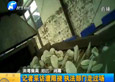 《民生大參考》-記者采訪遭阻撓 執(zhí)法部門(mén)走過(guò)場(chǎng)