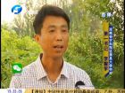 李耀宇：光伏助力脫貧 高產示范增收-9號直播間