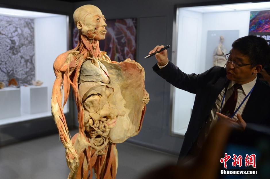 生命奧秘博物館入駐周莊 演繹“生命的探秘之旅” 生命奧秘博物館入駐周莊 演繹“生命的探秘之旅”
