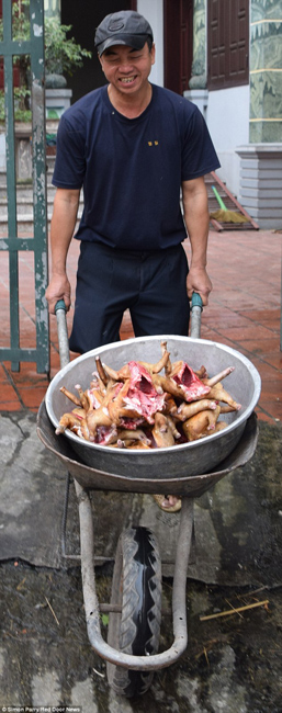 越南貓肉餐廳：將貓淹死、剝皮、切成小塊，再油炸
